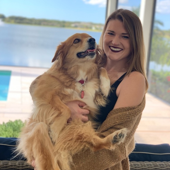 Sunshine, Rescue Dogs & Books 🌞🐕📚 | Priced to Sell Fast ✨ - Picture 3 of 10